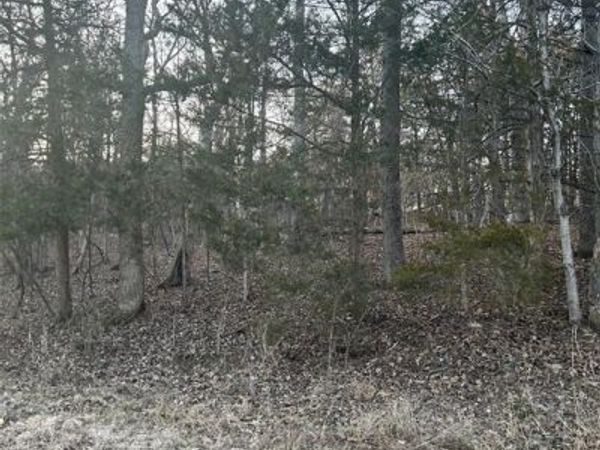 121 Briarwood Terrace, De Soto, MO 63020