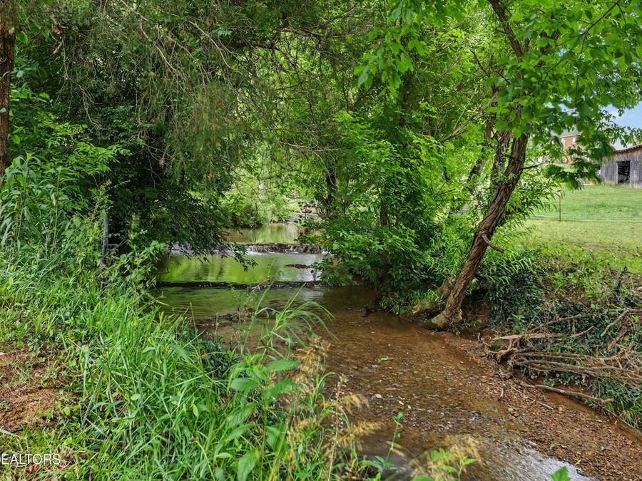 Property Image 60