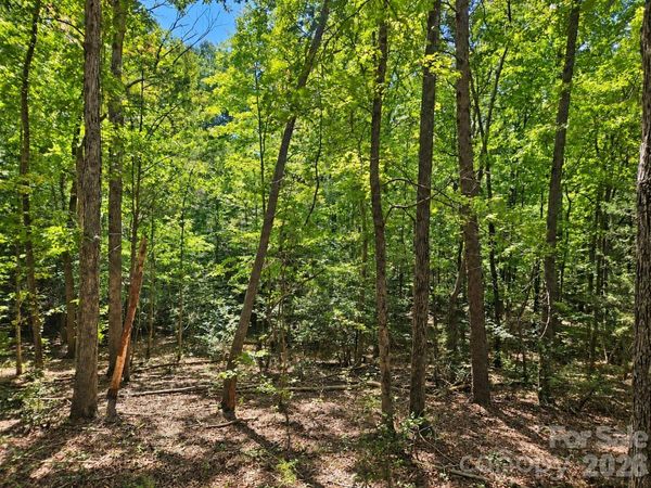 236 Sugar Loaf Road, Troy, NC 27371