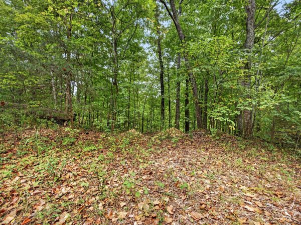 0 Timber Ridge Lane , Unit 28, Celina, TN 38551