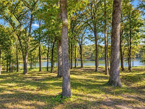 Lot 55 Private Road 52415 , Leesburg, TX 75451