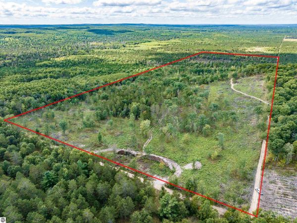 Pointer Road, West Branch, MI 48661