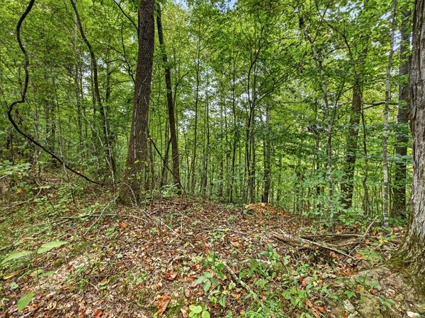 0 Timber Ridge Lane , Unit 30, Celina, TN 38551