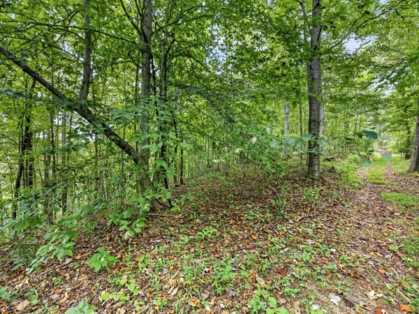 0 Timber Ridge Lane , Unit 29, Celina, TN 38551