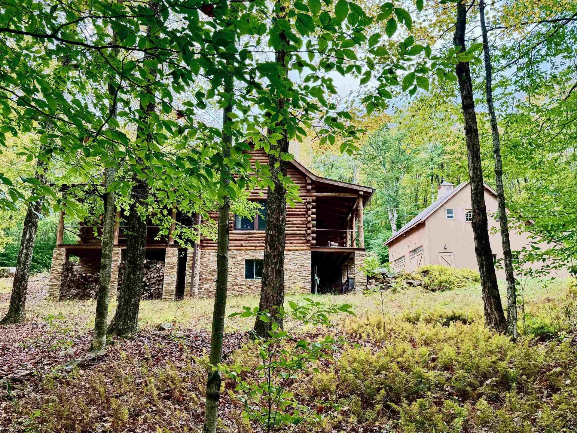 920 Sand Run Road, Davis, WV 26260 Main Photo