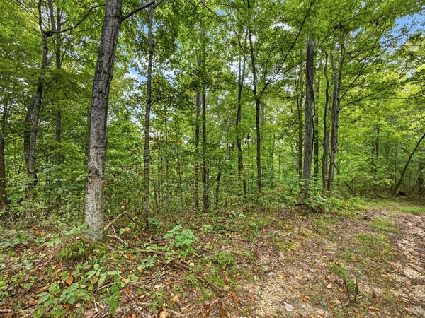 0 Timber Ridge Lane , Unit 31, Celina, TN 38551