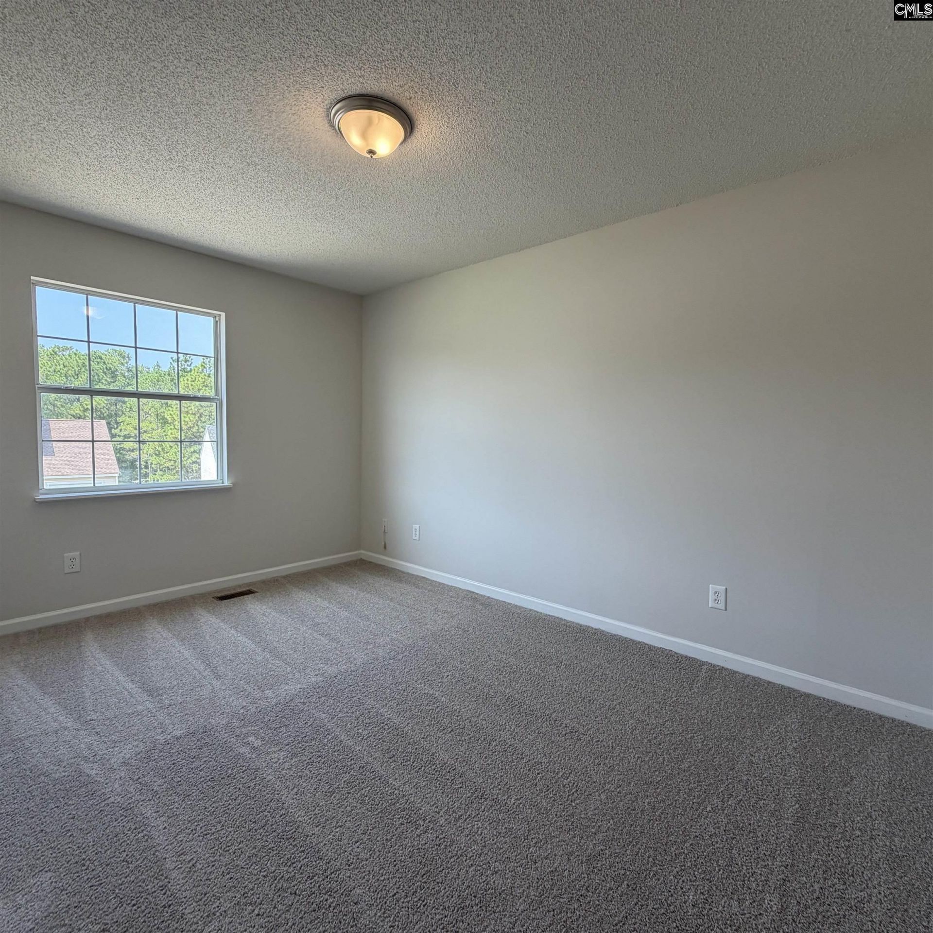 113 Pine Bluff Road  Photo 6