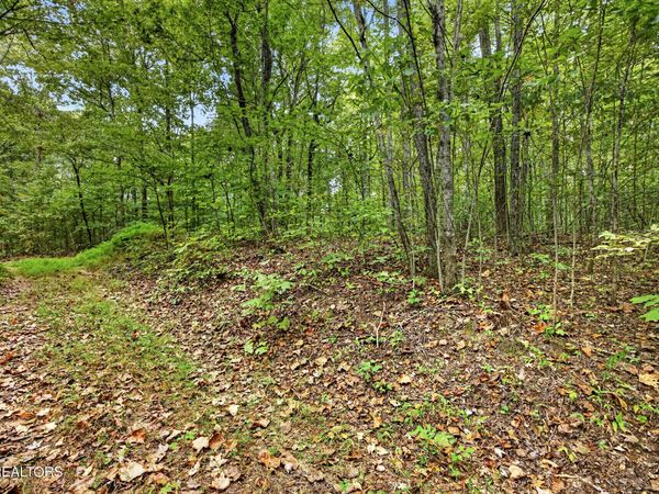 Lot 21 Timber Ridge Lane , Celina, TN 38551