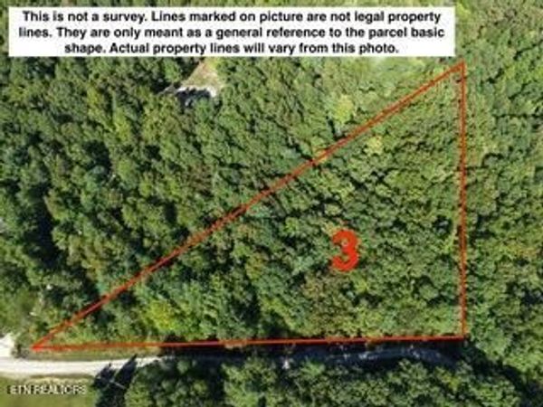 Bear Hollow Rd, Oneida, TN 37841