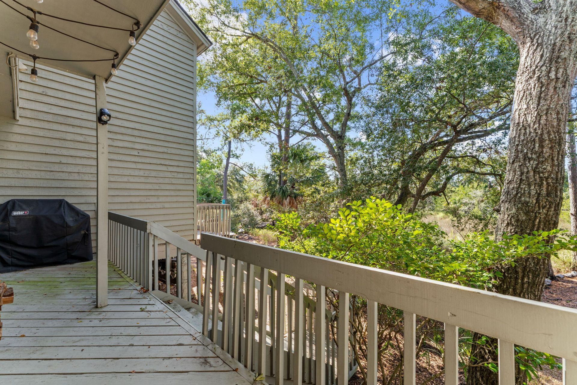 1043 Marsh Court Lane Photo 37