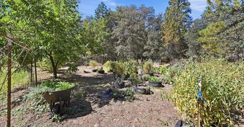 22858 Pleasant Valley Rd, North San Juan, CA 95960 Photo