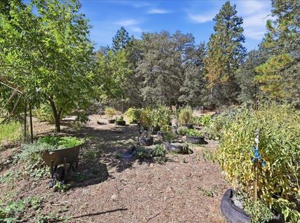 22858 Pleasant Valley Rd, North San Juan, CA 95960 Photo