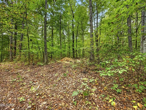 Lot 22 Timber Ridge Lane , Celina, TN 38551