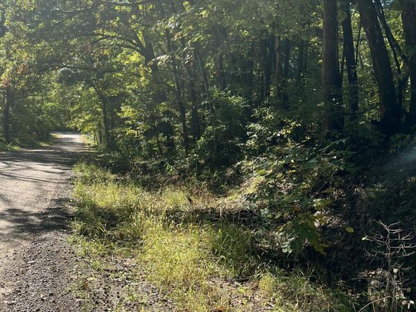 VL Sweeter Road, Twin Lake, MI 49457