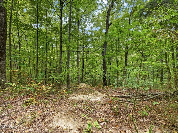 Lot 23 Timber Ridge Lane , Celina, TN 38551