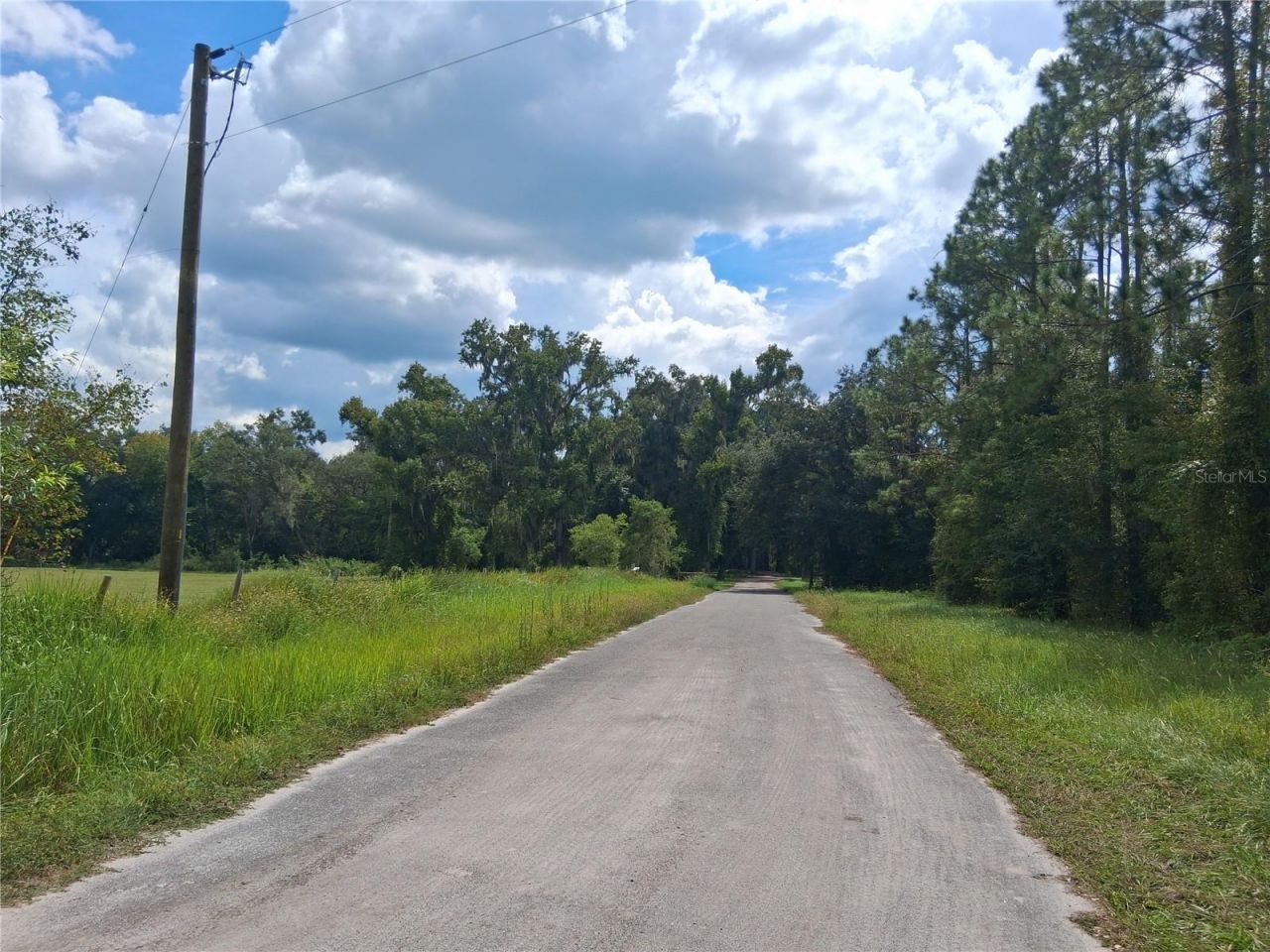 9278 Cr 734, Center Hill, FL 33514 Photo