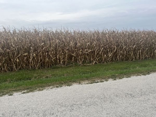 1293 County Road 2400 E , St. Joseph, IL 61873