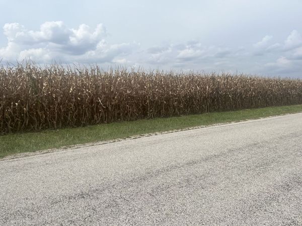 1293 County Road 2400 E , St. Joseph, IL 61873