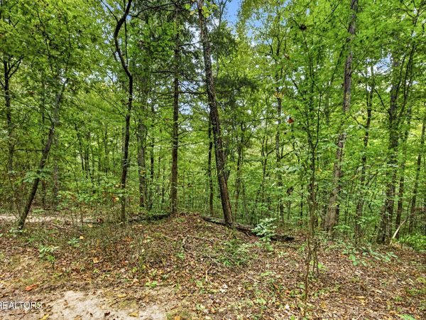 Lot 24 Timber Ridge Lane , Celina, TN 38551