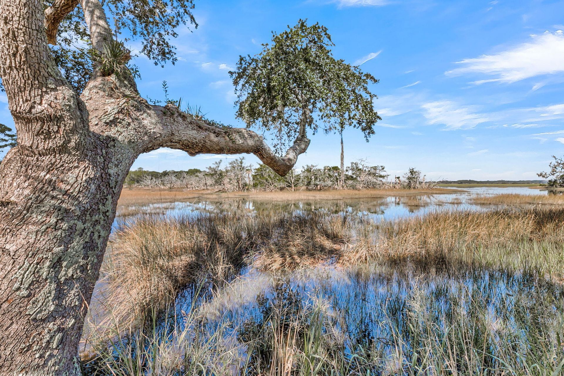 167 Cape Palmetto Point Trail Photo 66