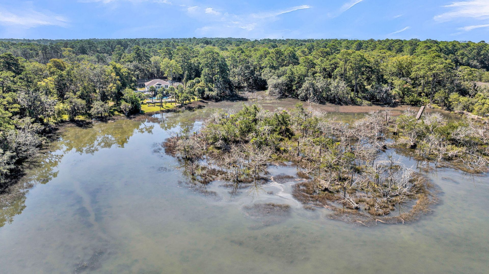 167 Cape Palmetto Point Trail Photo 93