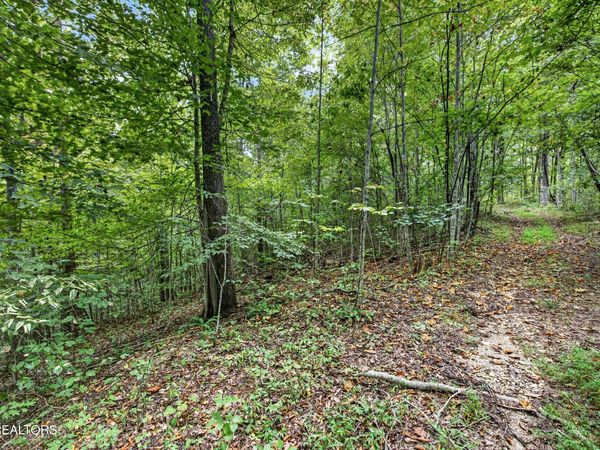 Lot 25 Timber Ridge Lane , Celina, TN 38551