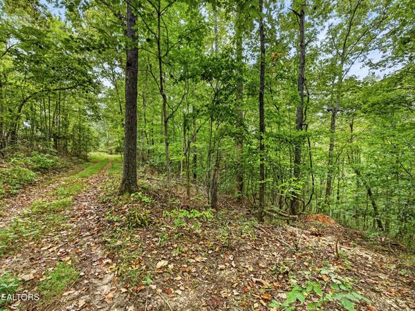 Lot 26 Timber Ridge Lane , Celina, TN 38551