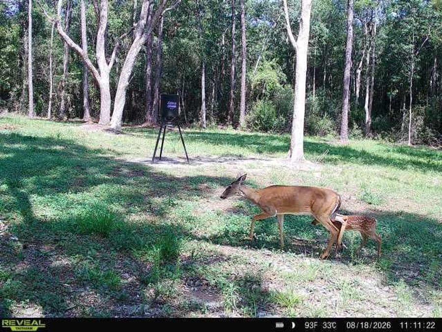 Property Image 76