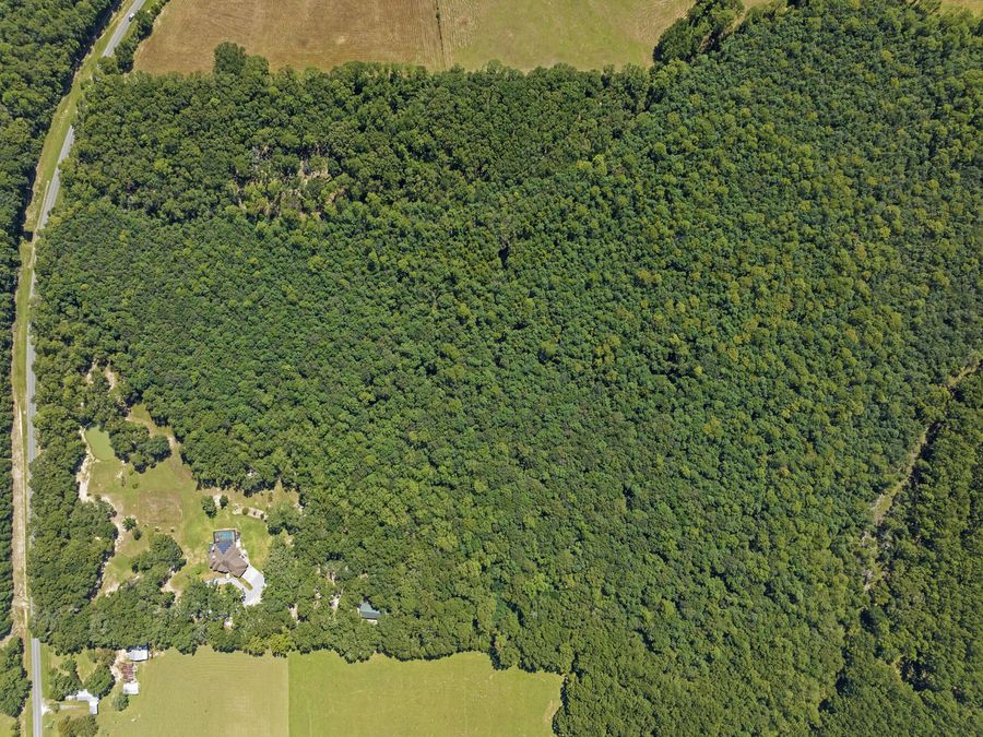 Property Image 97