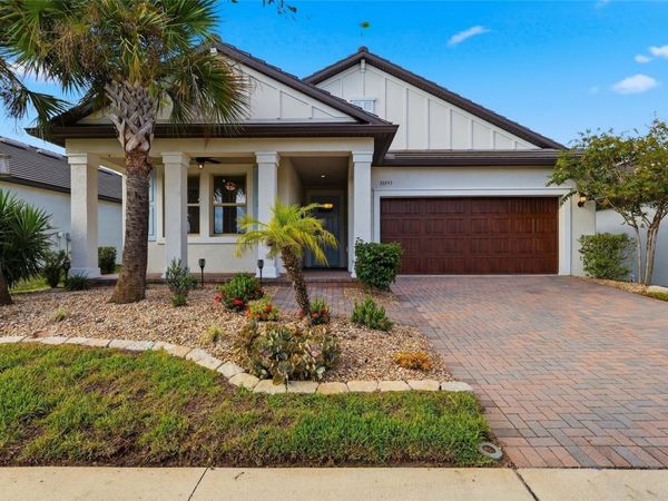 31493 CANNON RUSH DRIVE , SAN ANTONIO, FL 33576