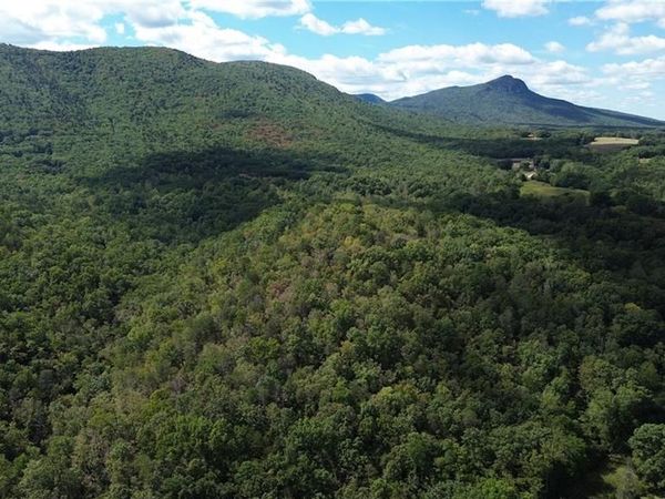1541-1345 NC Highway 89 W, Unit Tract# 1 -, Danbury, NC 27016