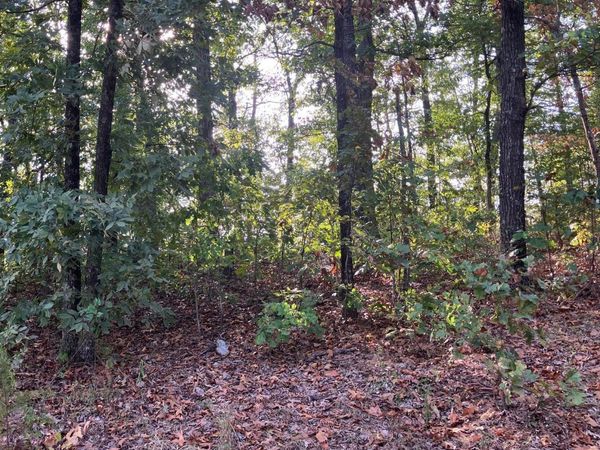 Lots 11-15 Tucker Road, Hardy, AR 72542