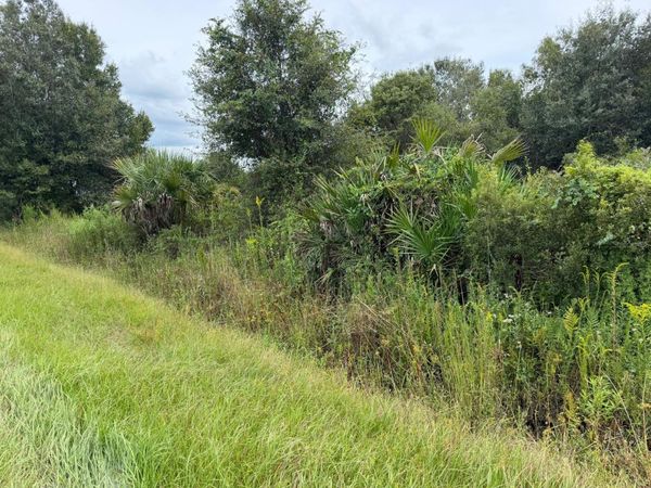 14616 NW 260TH STREET , OKEECHOBEE, FL 34972