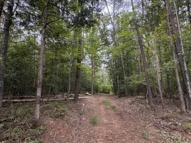 OLD OFFICE ROAD, LOCUST GROVE, VA 22508