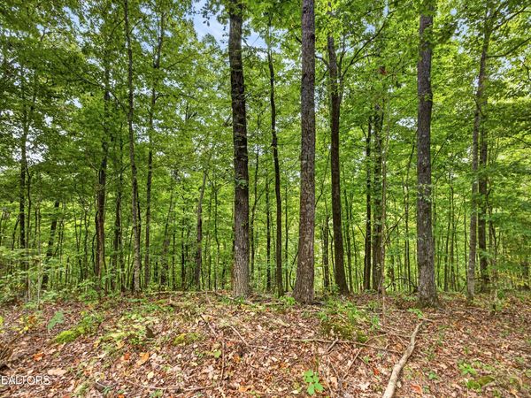 Lot 27 Timber Ridge Lane , Celina, TN 38551