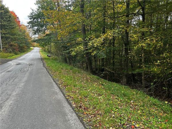 Mary Brown Hill Road , Laurens, NY 13796