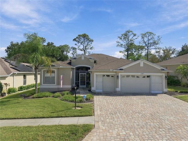 11724 WAYSIDE WILLOW COURT , HUDSON, FL 34667