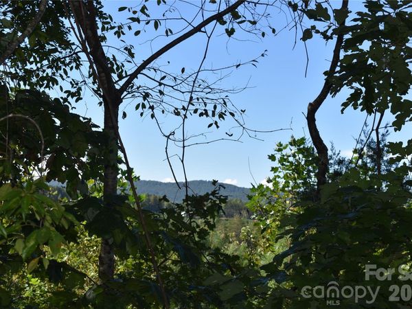 120 Woodmont Drive , Nebo, NC 28761