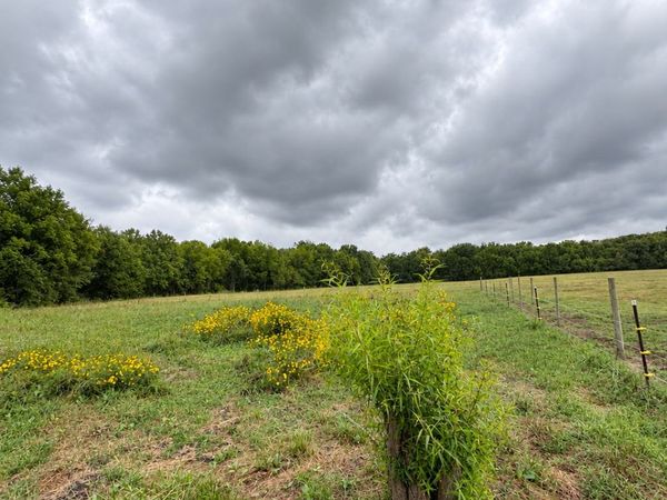 9204 N Lewis Avenue , Sperry, OK 74073