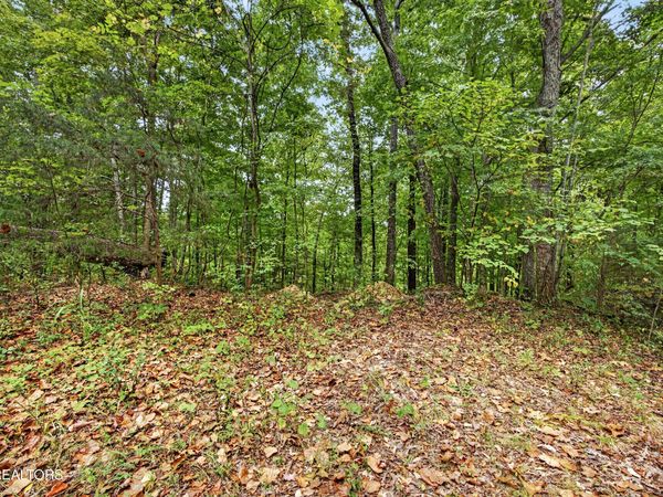 Lot 28 Timber Ridge Lane , Celina, TN 38551