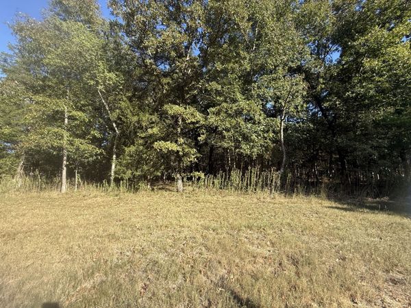 0 Maxwell Chapel Rd, Unionville, TN 37180