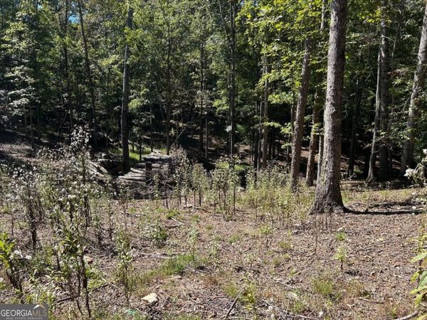 LOT 533 Eagle Mountain Drive, Ellijay, GA 30540