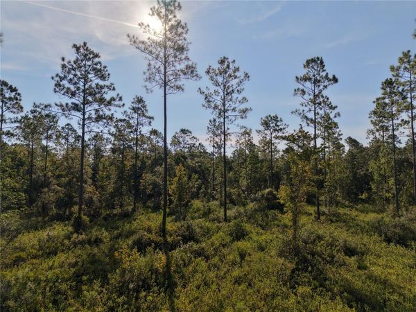 OFF NE 212TH ST. , FORT MC COY, FL 32134