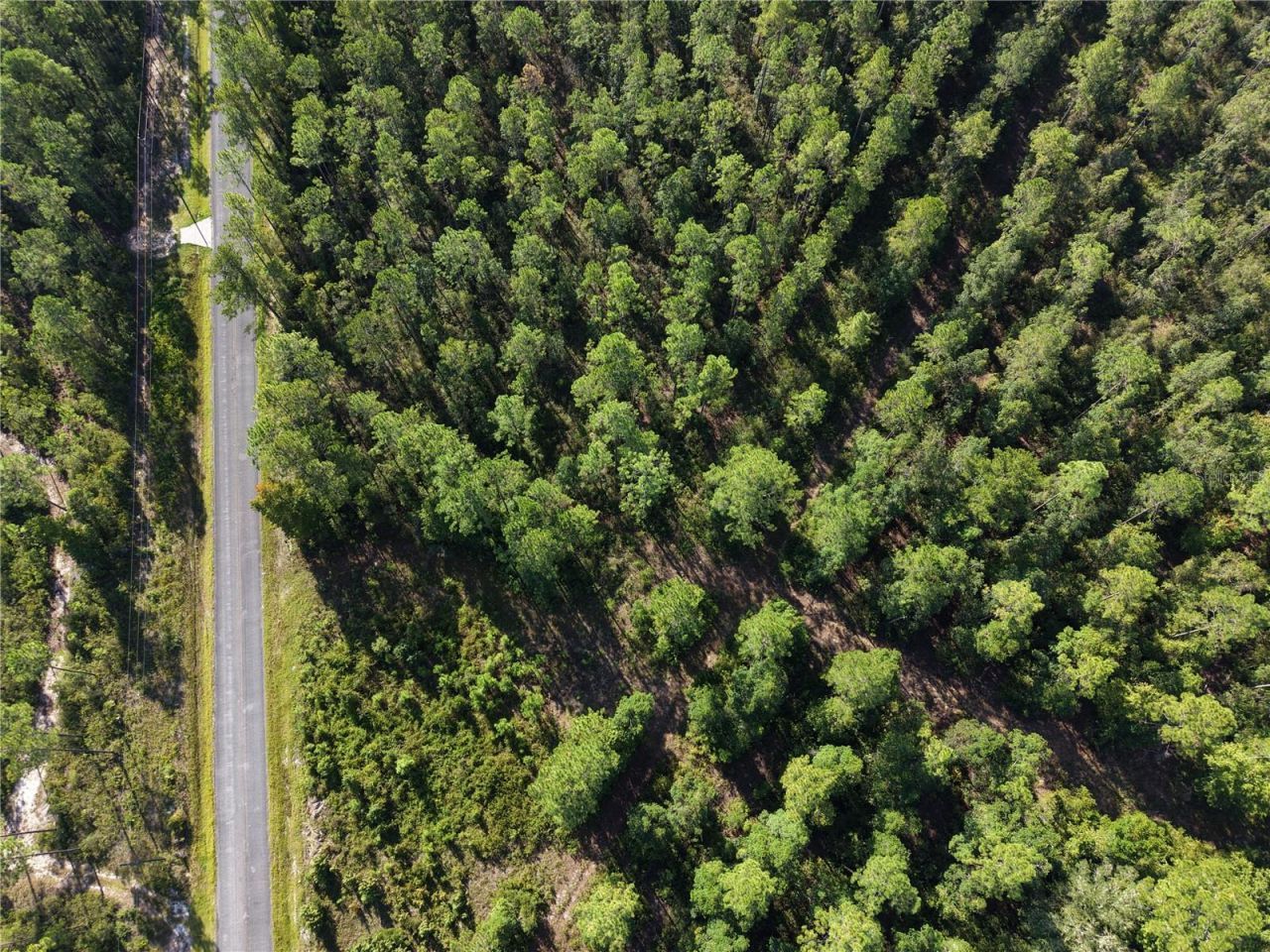 Off NE 212th St. , Fort Mc Coy, FL 32134 Photo
