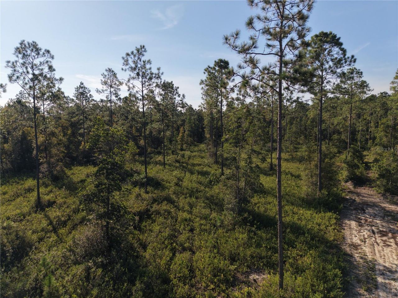 Off NE 212th St. , Fort Mc Coy, FL 32134 Photo