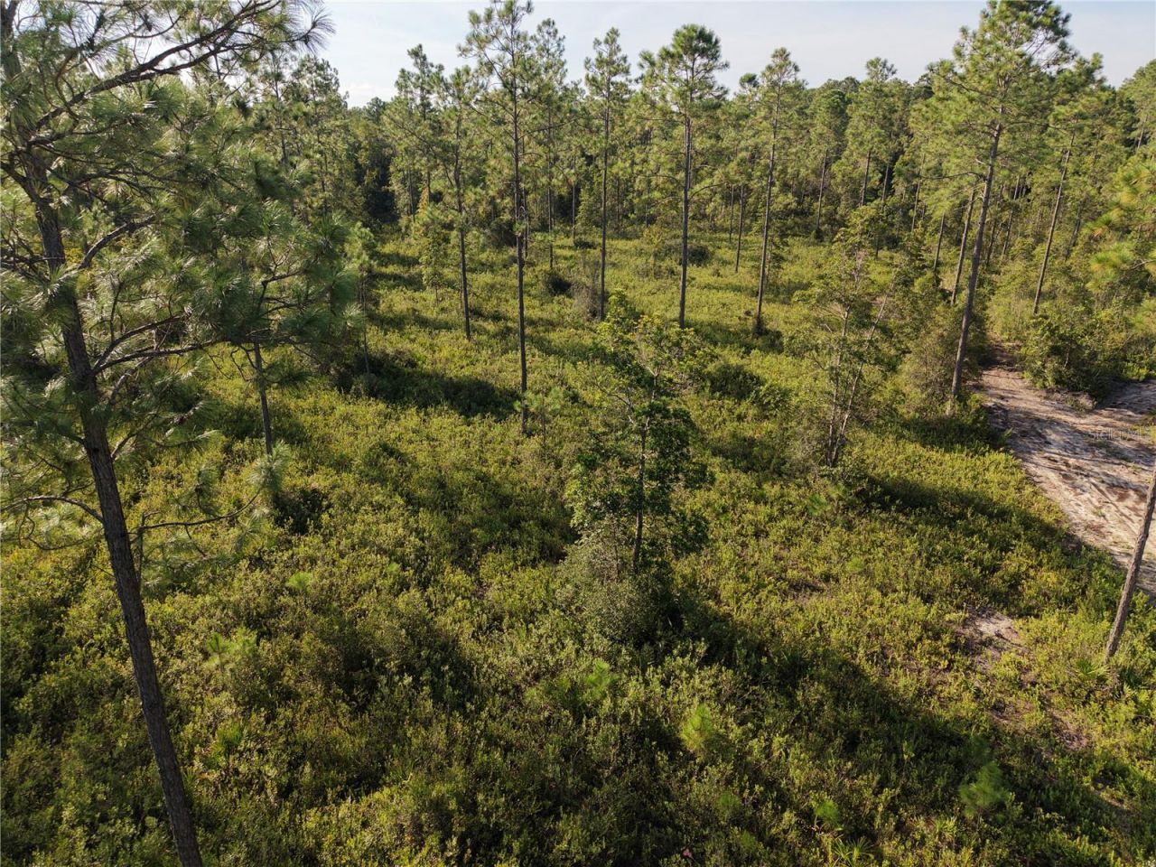 Off NE 212th St. , Fort Mc Coy, FL 32134 Photo