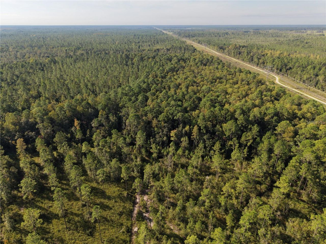 Off NE 212th St. , Fort Mc Coy, FL 32134 Photo
