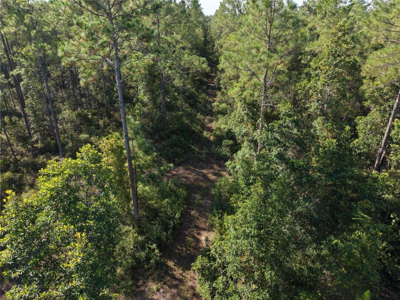 Off NE 212th St. , Fort Mc Coy, FL 32134 Photo