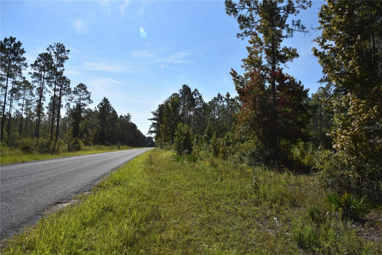 Off NE 212th St. , Fort Mc Coy, FL 32134 Photo