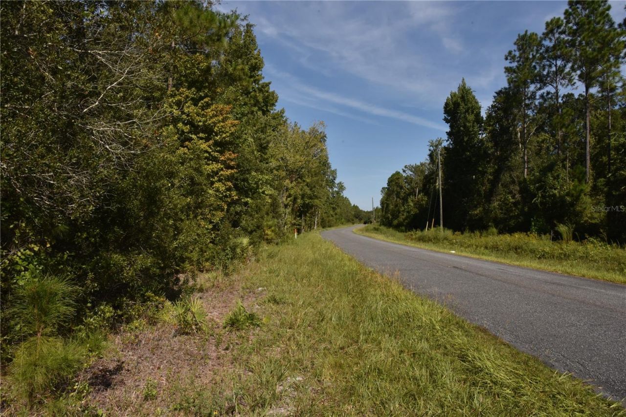 Off NE 212th St. , Fort Mc Coy, FL 32134 Photo